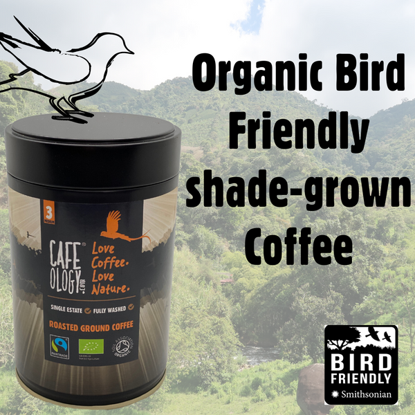 5 Years of our Bird Friendly Coffee Award  & Celebrating the Best 3 Coffees
