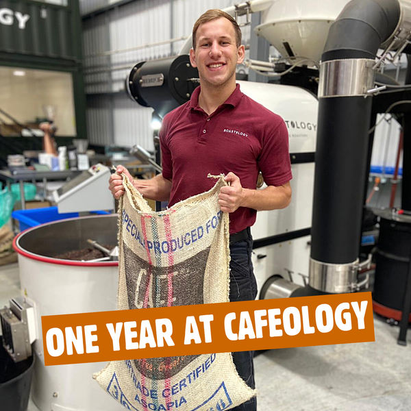 One Year at Cafeology as Coffee Production Specialist